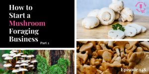 Read more about the article #148: P2 How to Start a Mushroom Foraging Business